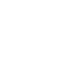 Globe icon